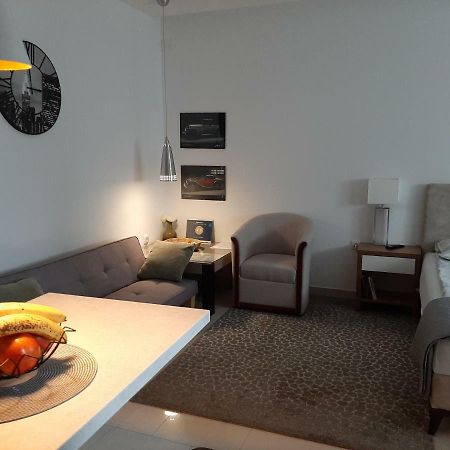 Centar Lux Vrsac Apartman Kültér fotó