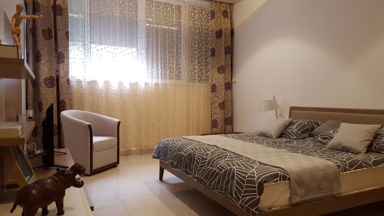 Centar Lux Vrsac Apartman Kültér fotó