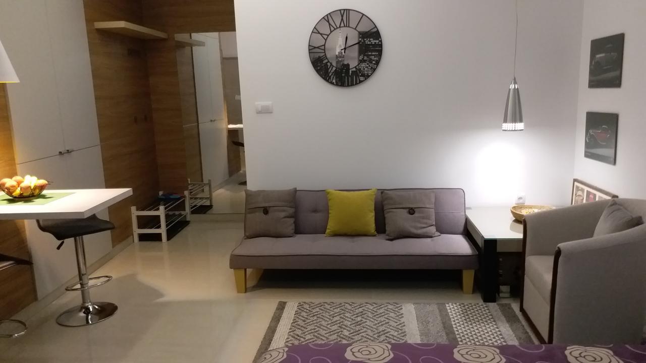 Centar Lux Vrsac Apartman Kültér fotó