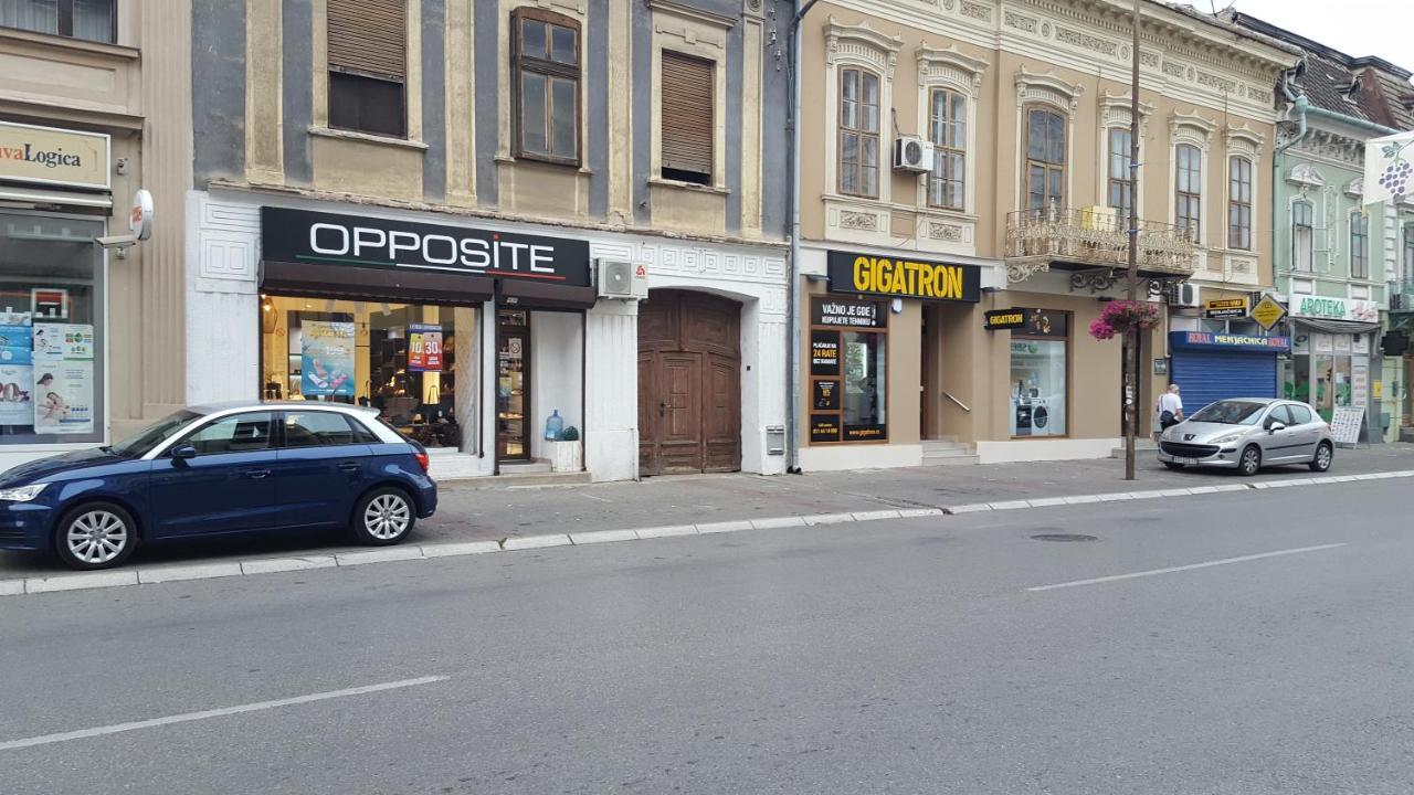 Centar Lux Vrsac Apartman Kültér fotó