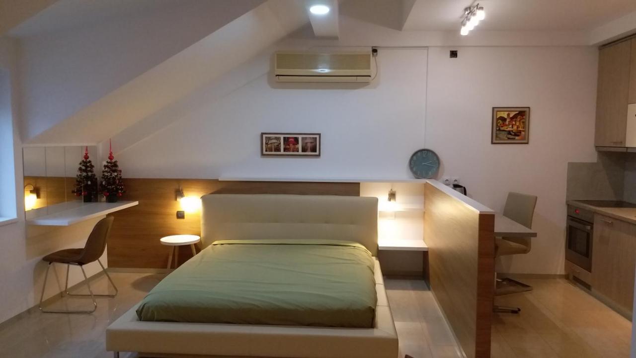 Centar Lux Vrsac Apartman Kültér fotó