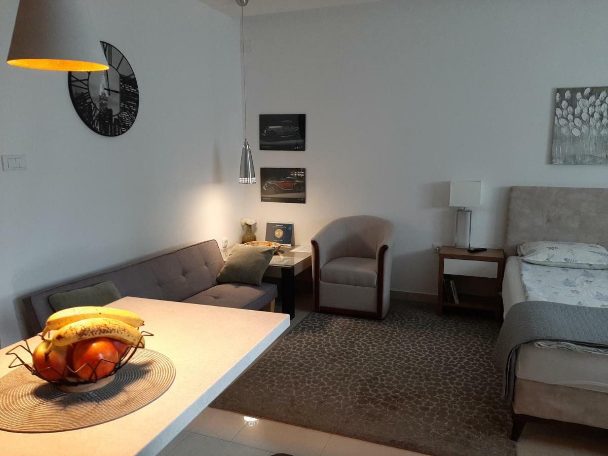 Centar Lux Vrsac Apartman Kültér fotó