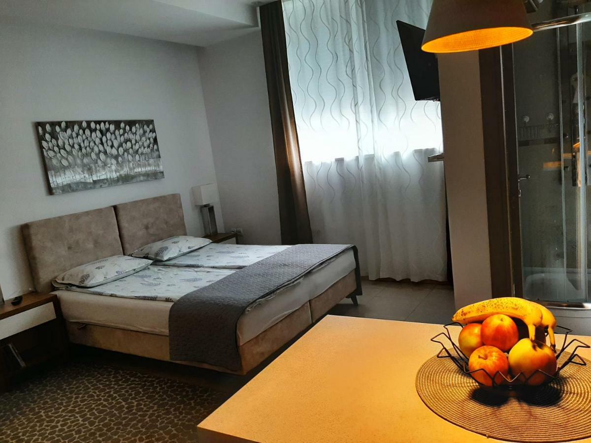 Centar Lux Vrsac Apartman Kültér fotó